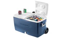 Cooler bag