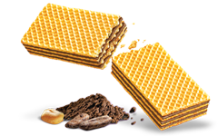 Wafer